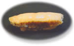 鮑(生)